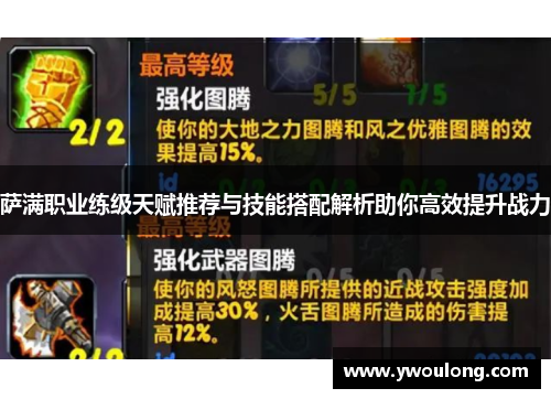 萨满职业练级天赋推荐与技能搭配解析助你高效提升战力